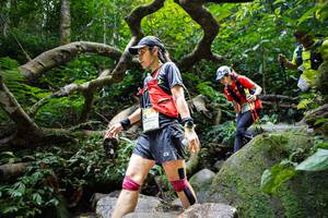 BIB: 
                            <button type="button" onclick="openModal(19408229)" class="btn btn-primary btn-sm float-right btn-popup" data-toggle="modal" data-target=".modal-high-quality">
                        <i class="fas fa-shopping-cart"></i> Add to Cart
                    </button>
                                            <button type="button" onclick="isThisMe(19408229, true)" class="btn btn-success btn-sm float-right btn-popup btn-isme hidden" data-toggle="tooltip" data-placement="bottom" title="นี่คือรูปของคุณใช่ไหม คลิกที่นี่เพื่อเอาเข้าอัลบั้ม">
                        <i class="fas fa-plus"></i> Add to album
                    </button>
                    <button type="button" onclick="isThisMe(19408229, false)" class="btn btn-warning btn-sm float-right btn-popup btn-isnotme hidden">
                        <i class="fas fa-ban"></i> Remove from album
                    </button>